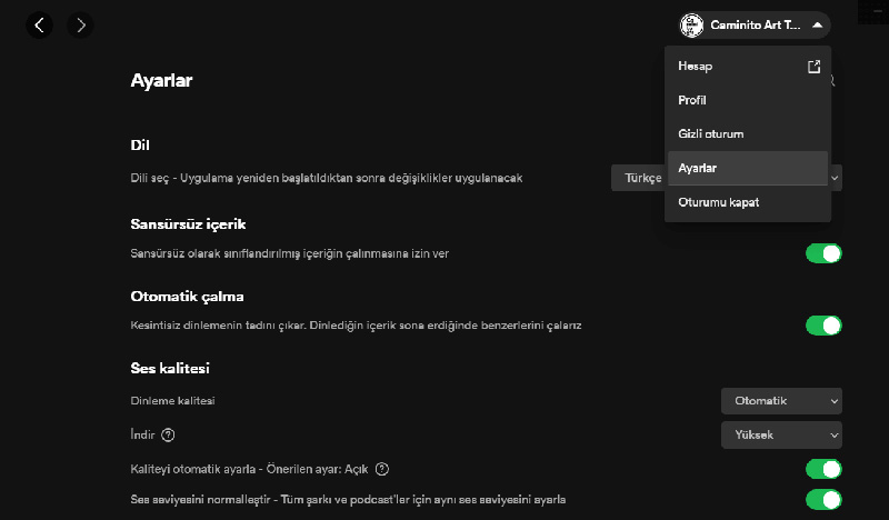 Spotify Ayarları